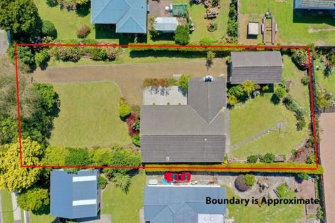 Photo of property in 49 Hinemoa Street, Whakatane, 3120