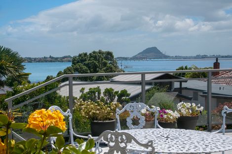 Photo of property in 240 Maungatapu Road, Maungatapu, Tauranga, 3112