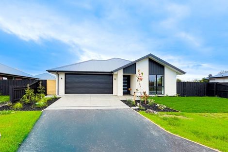 Photo of property in 14 Morrison Avenue, Elgin, 7772