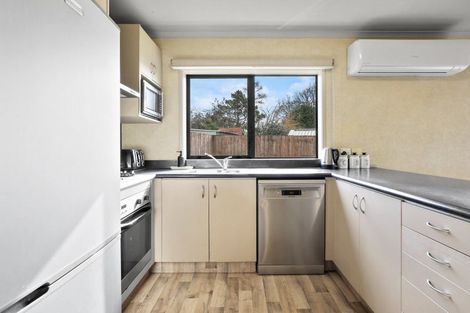 Photo of property in 49a Tranmere Road, Fairfield, Hamilton, 3214