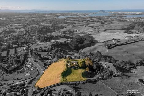 Photo of property in 565c Upper Ohauiti Road, Ohauiti, Tauranga, 3173