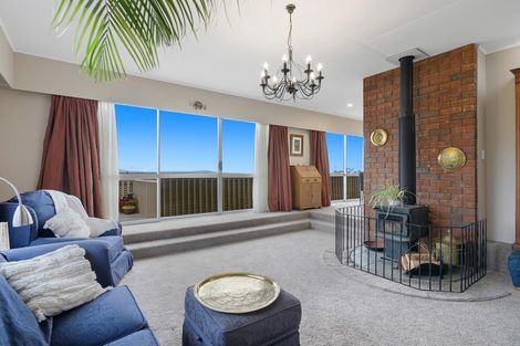 Photo of property in 49 Marlborough Crescent, Richmond, 7020