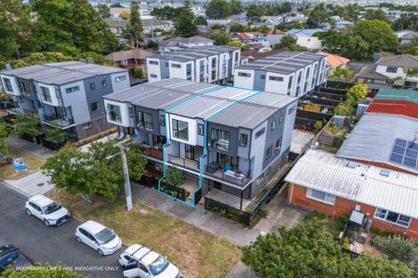 Photo of property in 19 Taipahitini Road, Rosehill, 2113