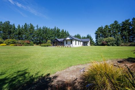 Photo of property in 155b Halcombe Road, Feilding, 4775