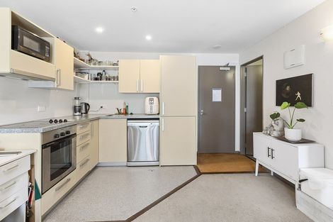 Photo of property in Dual Apartments, 306/142u Vivian Street, Te Aro, Wellington, 6011