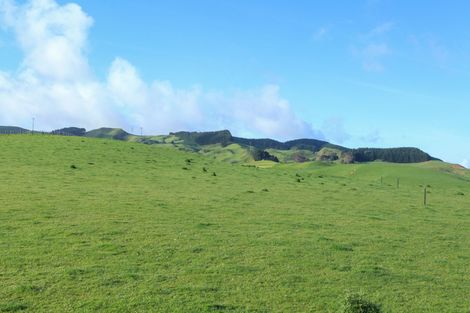 Photo of property in 30 Van Houtte Road, Raglan, 3295