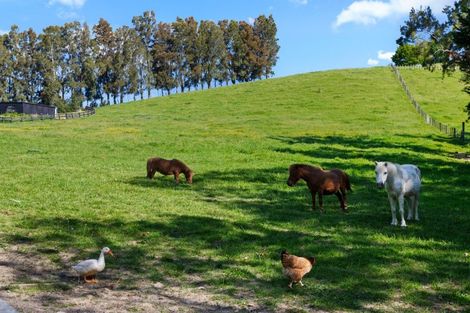 Photo of property in 243 Clevedon Kawakawa Road, Clevedon, Papakura, 2585