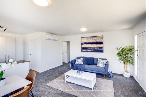 Photo of property in 113a Stortford Street, Saint Leonards, Hastings, 4120