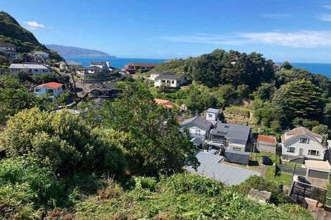 Photo of property in 170a Severn Street, Island Bay, Wellington, 6023