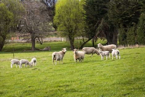 Photo of property in 309 Gladstone Road North, East Taieri, Mosgiel, 9092