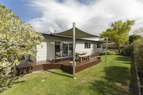 Photo of property in 50 Antimony Crescent, Cromwell, 9310