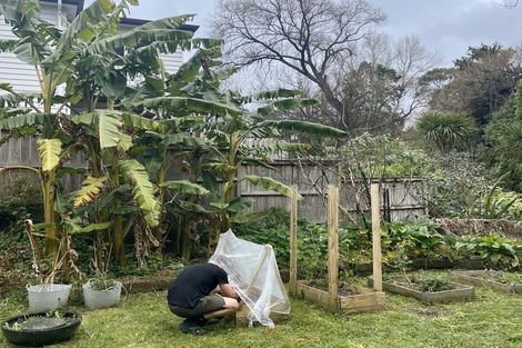 Photo of property in 2/24 Lauderdale Road, Birkdale, Auckland, 0626