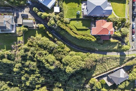 Photo of property in 43 Forfar Street, Clyde Hill, Dunedin, 9011