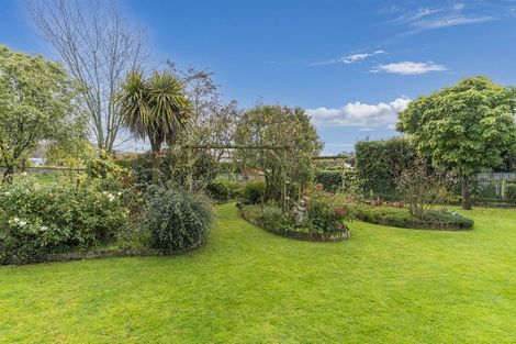 Photo of property in 82 Henry Street, Waikouaiti, 9510