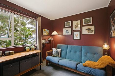 Photo of property in 19 Colville Street, Newtown, Wellington, 6021