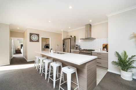 Photo of property in 5 Heritage Place, Terrace End, Palmerston North, 4410