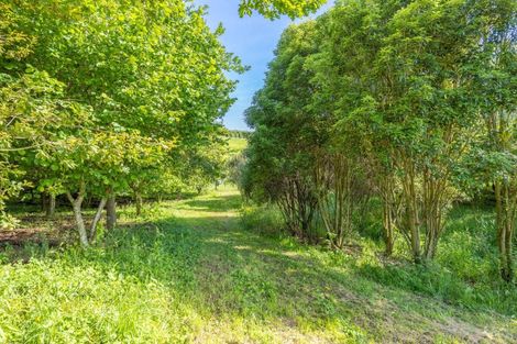 Photo of property in 111 Ellis Road, Otorohanga, 3974