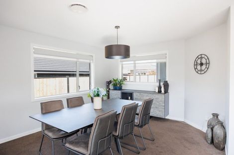 Photo of property in 163a Denbigh Street, Feilding, 4702