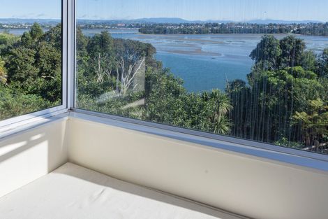 Photo of property in 250 Maungatapu Road, Maungatapu, Tauranga, 3112