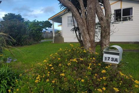 Photo of property in 173a Mitchell Street, Brooklyn, Wellington, 6021