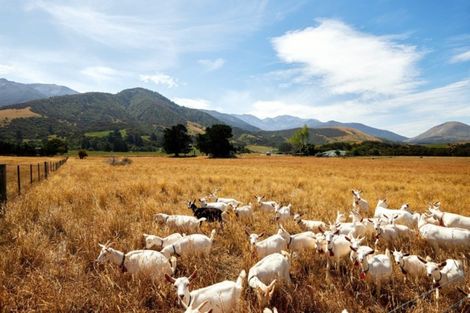 Photo of property in 243 Bay Paddock Road, Hapuku, Kaikoura, 7371