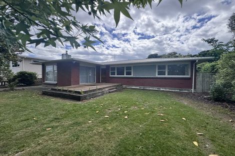Photo of property in 3 Kennedy Avenue, Feilding, 4702
