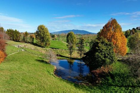 Photo of property in 4872 Ohaupo Road, Te Awamutu, Ohaupo, 3883