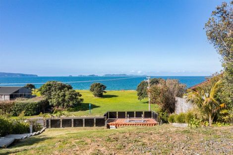Photo of property in 876 Black Jack Road, Opito Bay, Whitianga, 3592