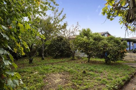 Photo of property in 20 Bythell Street, Redwoodtown, Blenheim, 7201