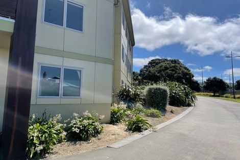 Photo of property in Basin Reserve Complex, 13/4 Sussex Street, Mount Cook, Wellington, 6021