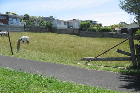 Photo of property in 51 Haggitt Street, Feilding, 4702