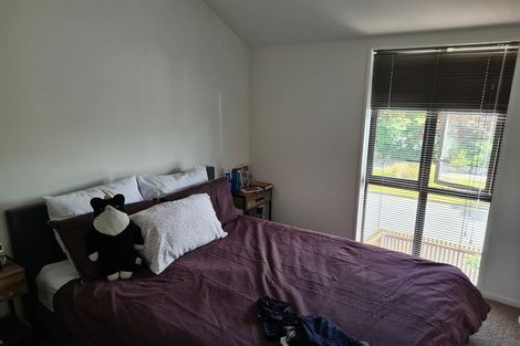 Photo of property in 58 Edward Avenue, Edgeware, Christchurch, 8013