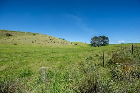 Photo of property in 42 Redhill Cemetery Road, Te Kopuru, 0371