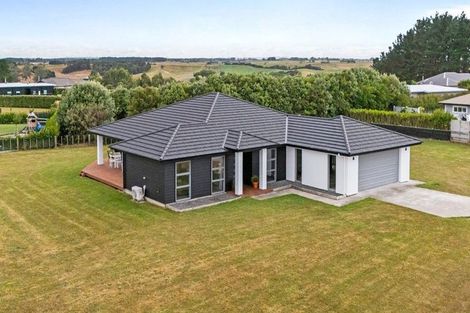 Photo of property in 46 Wapiti Avenue, Feilding, 4775