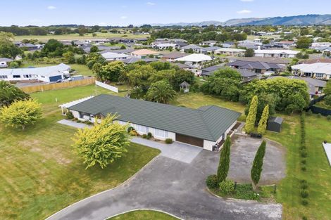 Photo of property in 4 Lakewood Grove, Levin, 5510