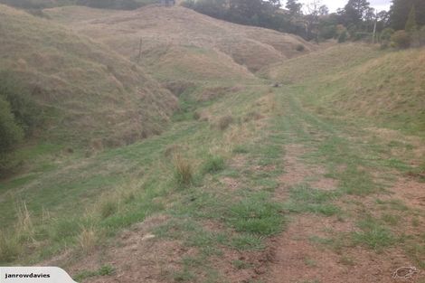 Photo of property in 257 Maungakawa Road, Cambridge, 3496