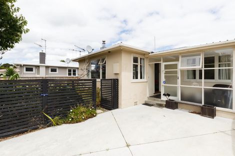 Photo of property in 21 Salisbury Avenue, Terrace End, Palmerston North, 4410