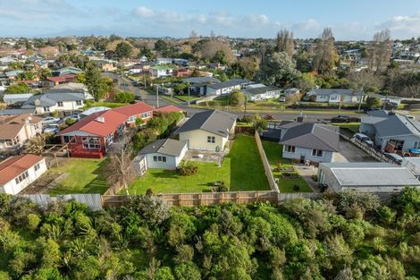 Photo of property in 24 Frederick Drive, Dinsdale, Hamilton, 3204