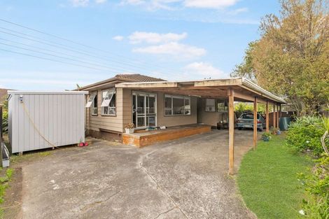 Photo of property in 5 Hindmarsh Street, Henderson, Auckland, 0612