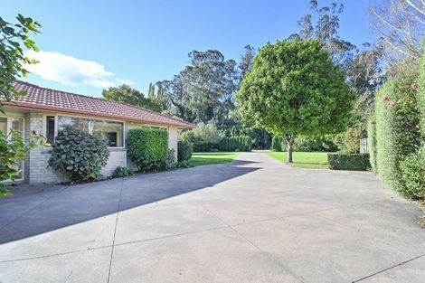 Photo of property in 1206 Kaiapo Road, Camberley, Hastings, 4120