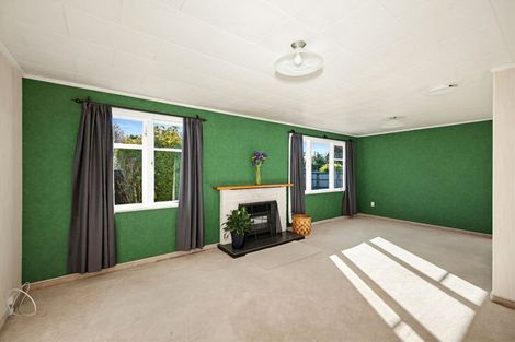 Photo of property in 144 Cockburn Street, Kuripuni, Masterton, 5810
