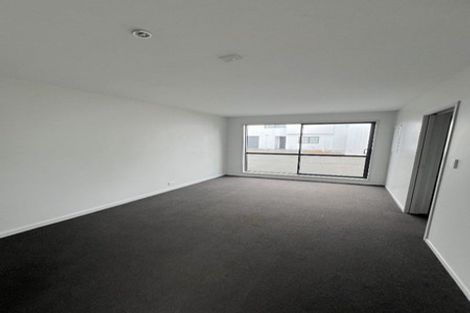 Photo of property in 195u1 Massey Street, Frankton, Hamilton, 3204