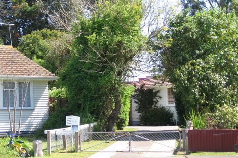 Photo of property in 16 Patrick Street, Mangapapa, Gisborne, 4010