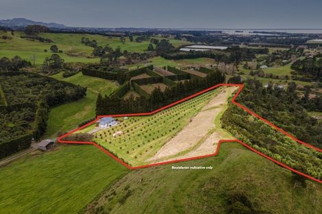 Photo of property in 54d Chard Road, Aongatete, Katikati, 3178