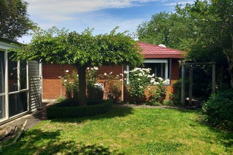 Photo of property in 42/a Ward Street, Addington, Christchurch, 8024