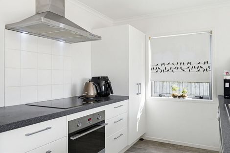 Photo of property in 14a Kulim Avenue, Otumoetai, Tauranga, 3110