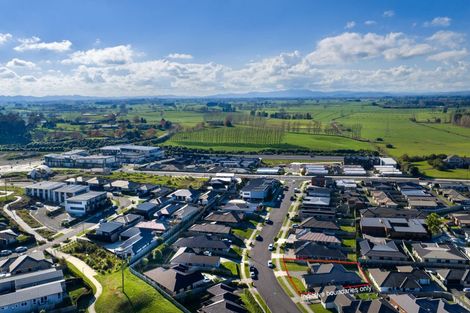 Photo of property in 132 Te Manatu Drive, Huntington, Hamilton, 3210