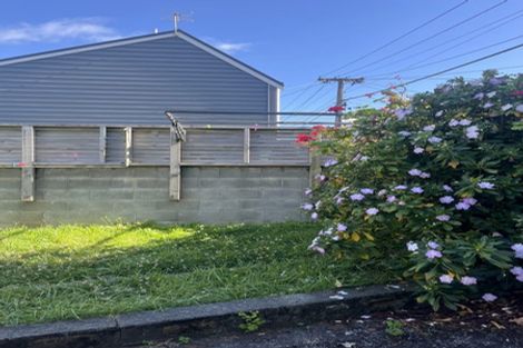 Photo of property in 119 Constable Street, Newtown, Wellington, 6021