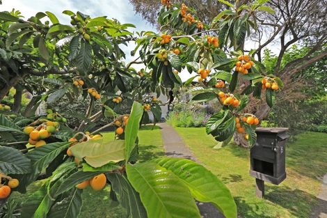 Photo of property in 15 Rakau Street, Havelock North, 4130