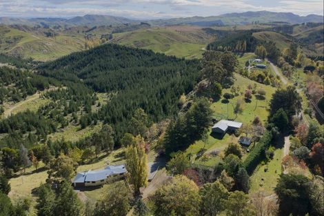 Photo of property in 1544 Kahuranaki Road, Kahuranaki, Havelock North, 4295